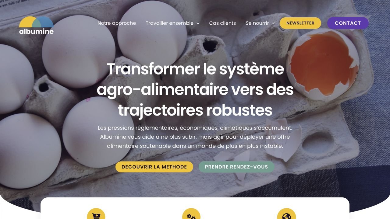 Aperçu du site web Albumine